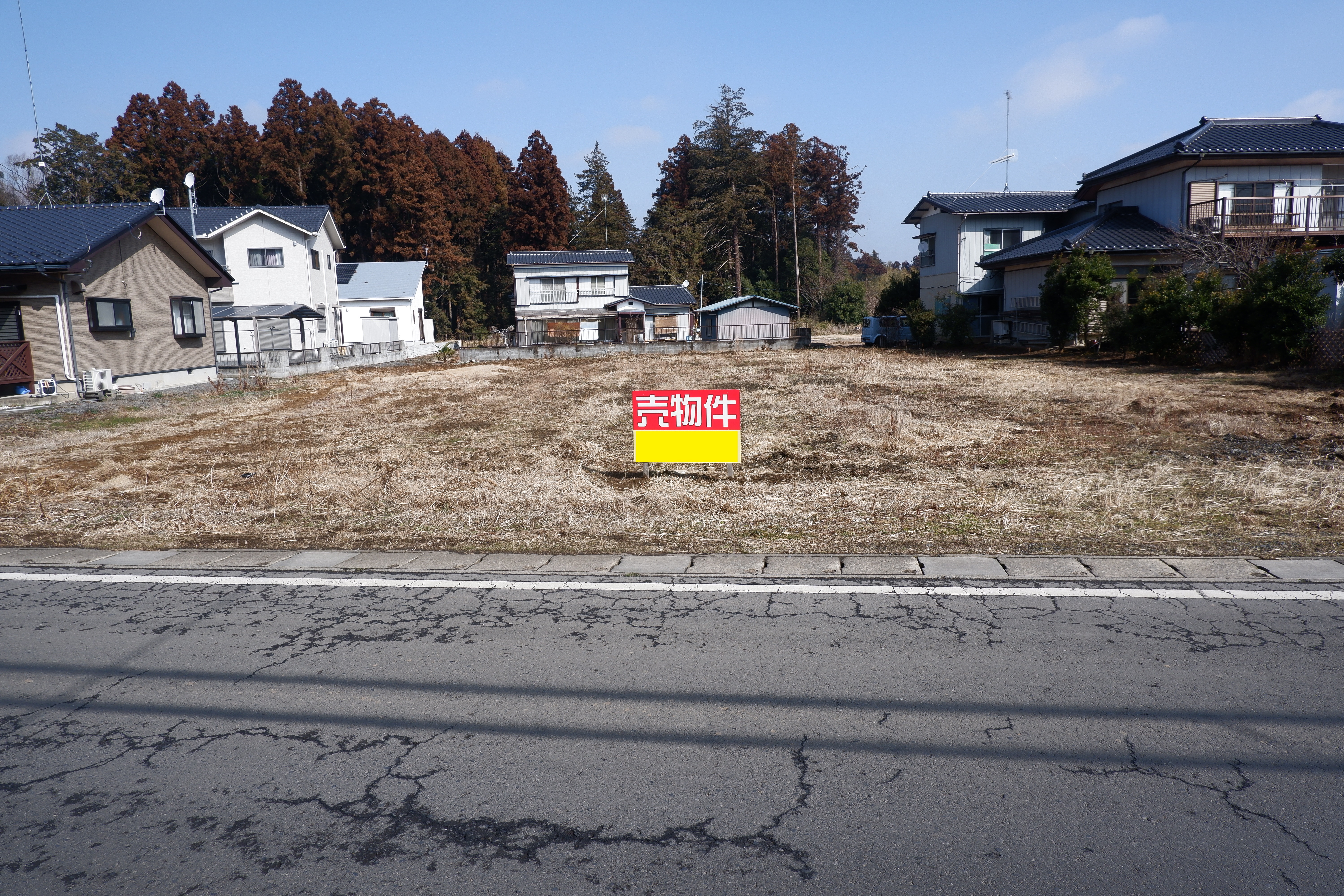 石岡市山崎／県道沿い