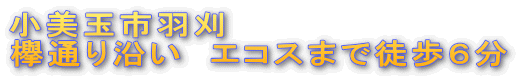 小美玉市羽刈 欅通り沿い　エコスまで徒歩６分
